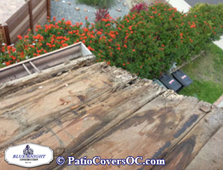 Dry Rot Repair Orange County with Blue Knight .